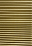 Plicell Dutch 01 - 14 mm Güneşlik Plise Perde